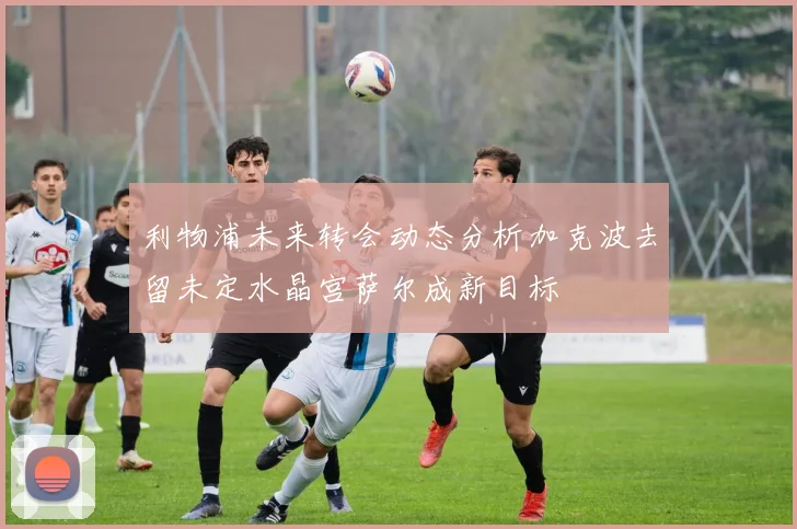 利物浦未来转会动态分析加克波去留未定水晶宫萨尔成新目标