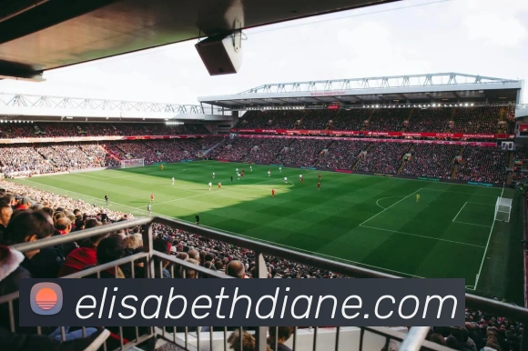 体育赛事直播